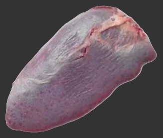 Raw spleen 