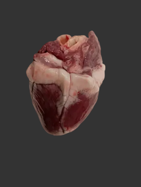 Lamb heart