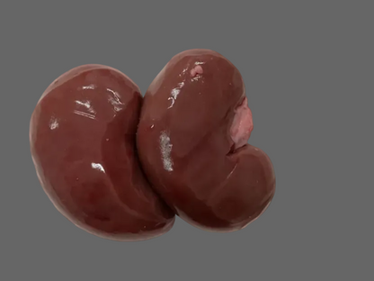 Lamb Kidneys