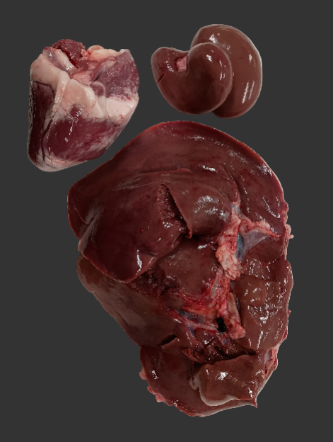 Lamb heart